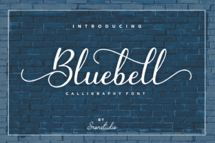 Bluebell: A Modern Script Font for Brand Content That Stops the Scroll