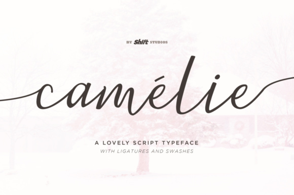 Camelie Font: A Handwritten Typeface for Small Business Branding
