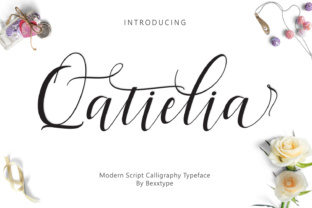 Qatielia Family: A Modern Script Font for Web Designers