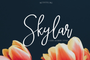Skylar Brings Warmth Back to Editorial Typography